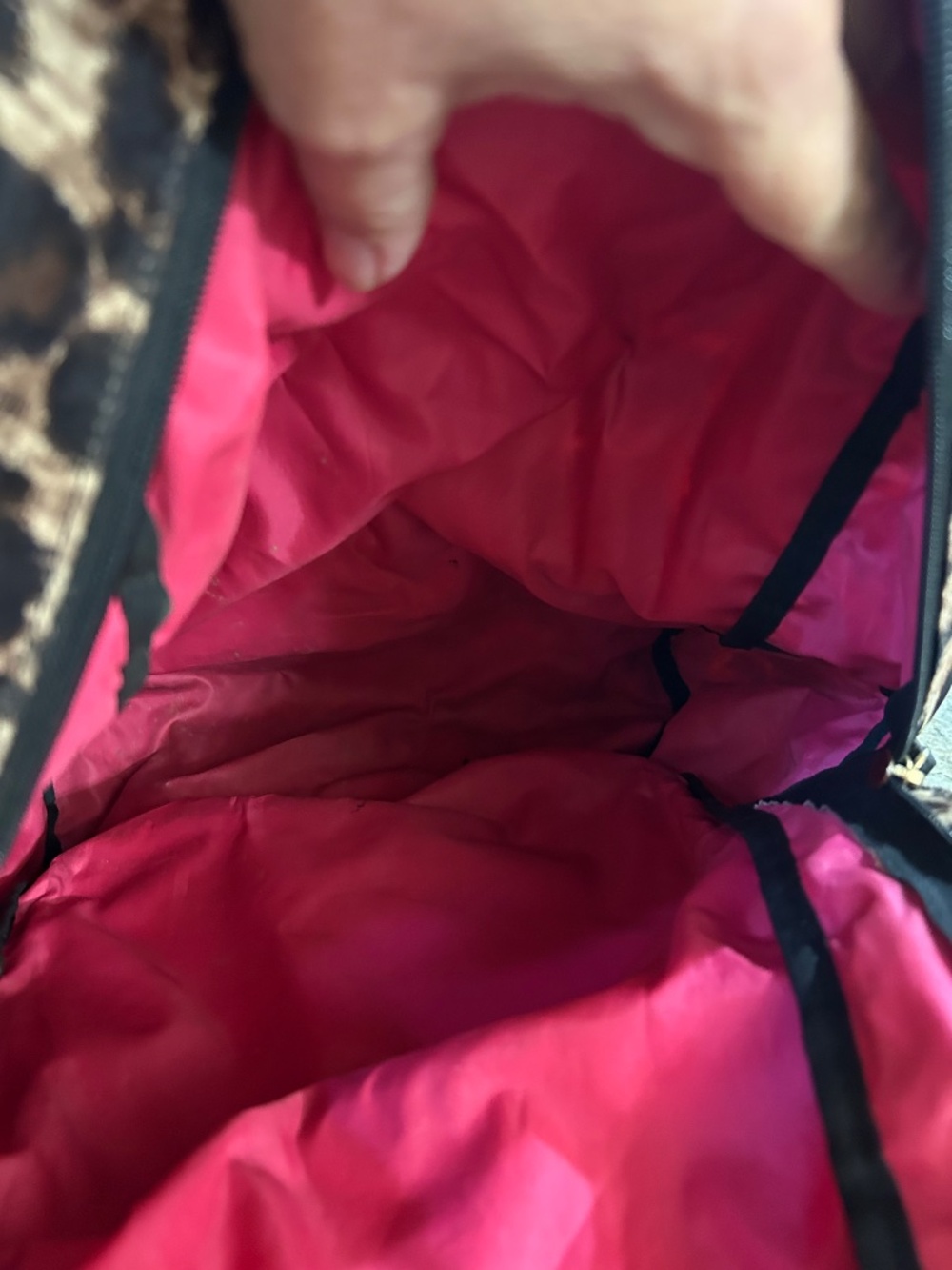 Backpack - Picture 2 of 3